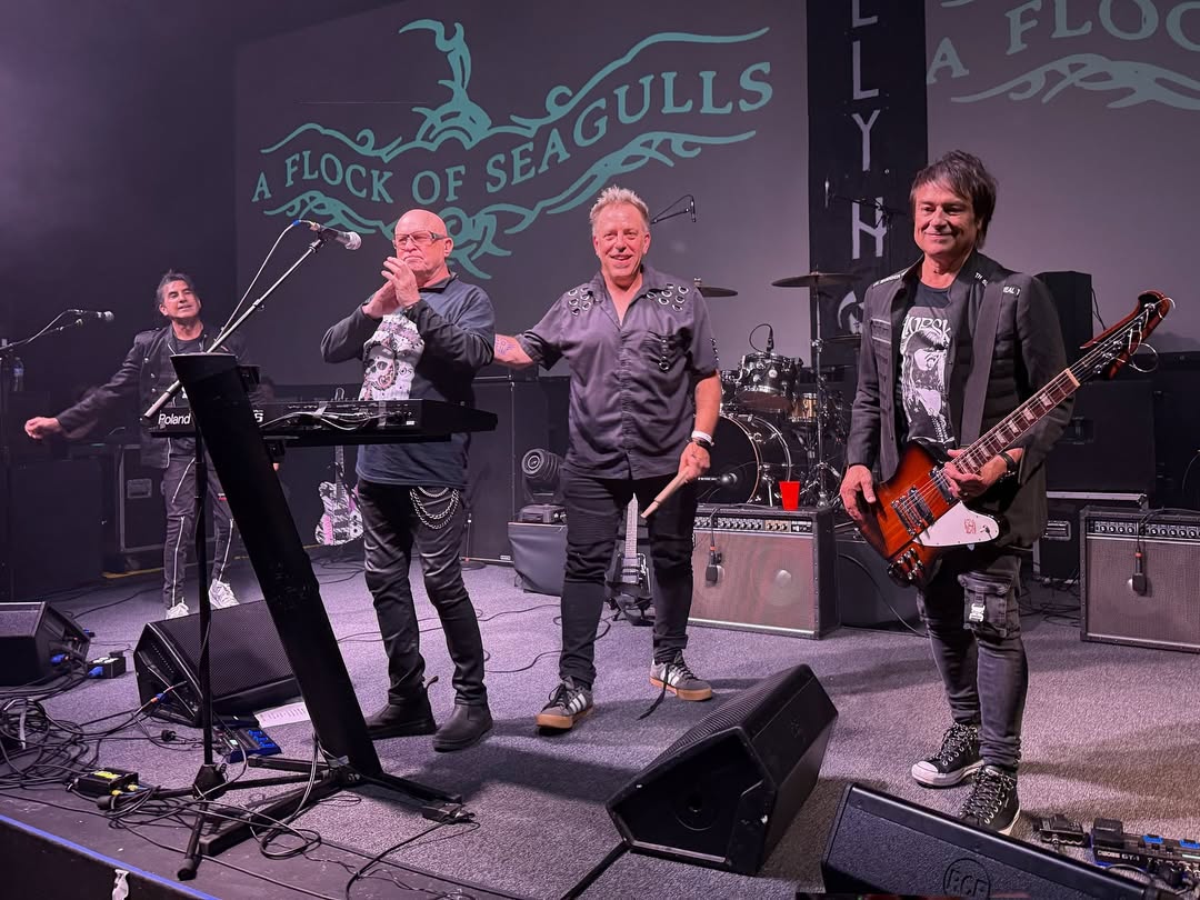 A Flock Of Seagulls